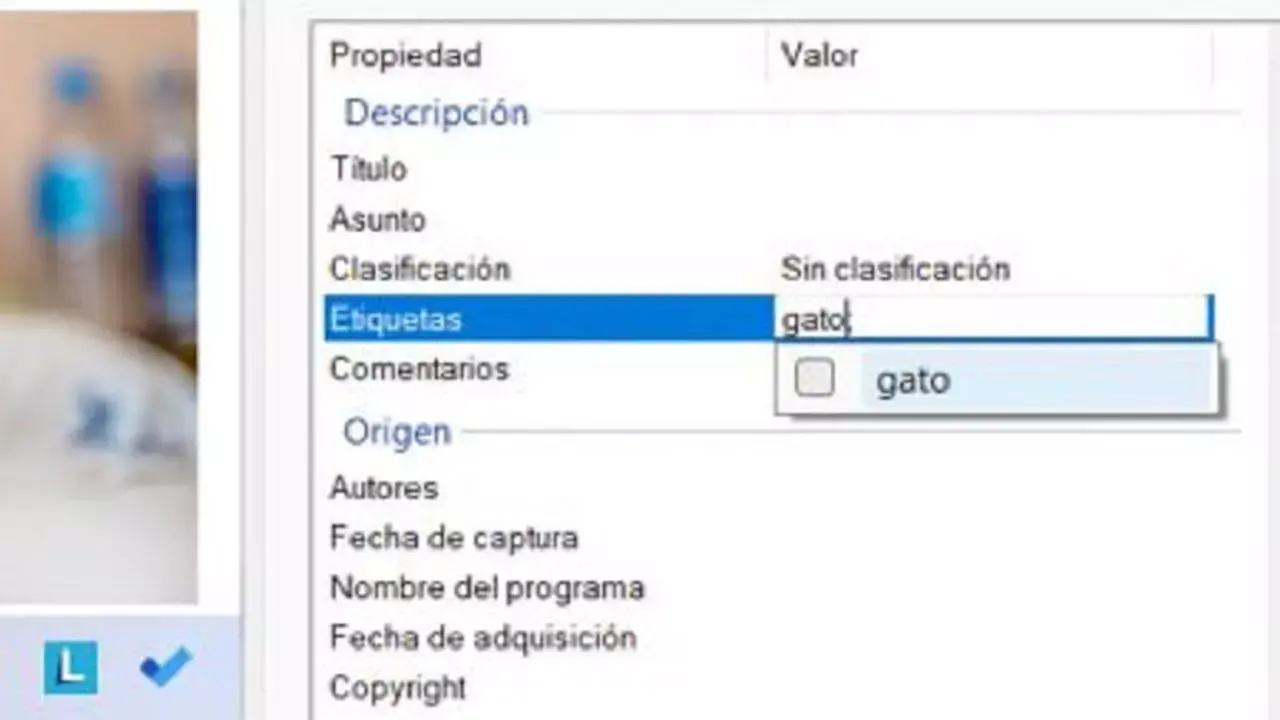 Organizar archivos por etiquetas o categorías en windows 11