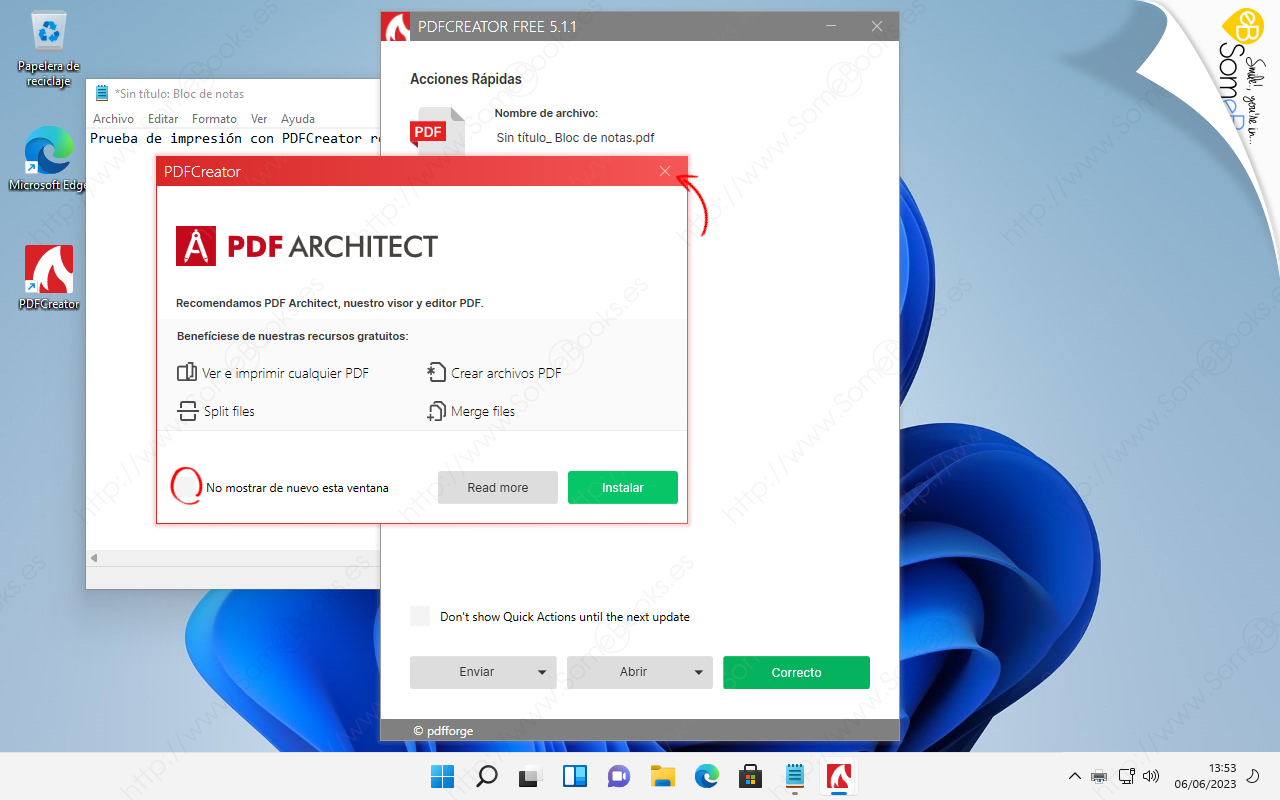 Errores comunes PDF Windows 11