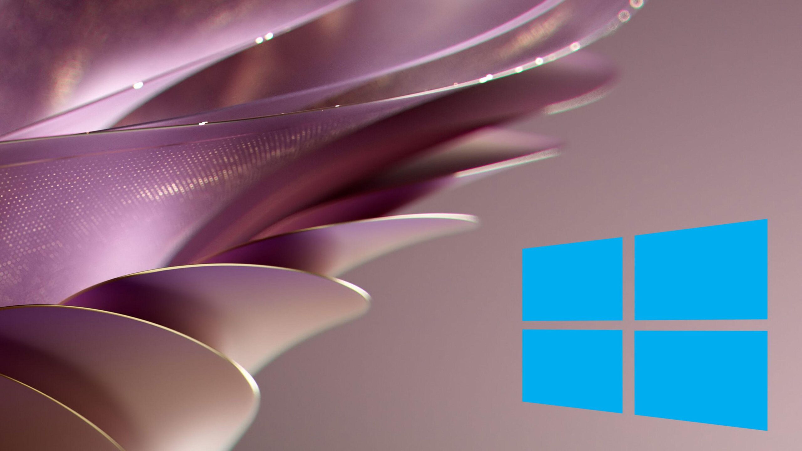 Trucos para fondos de pantalla en Windows 11