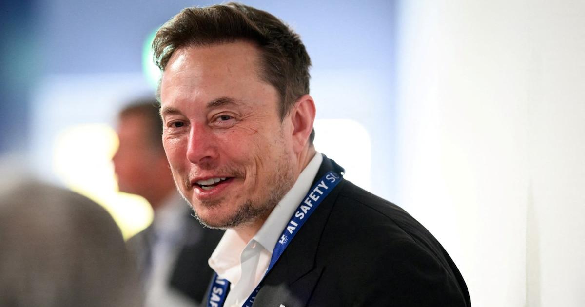 Proyecto Macrohard y Elon Musk