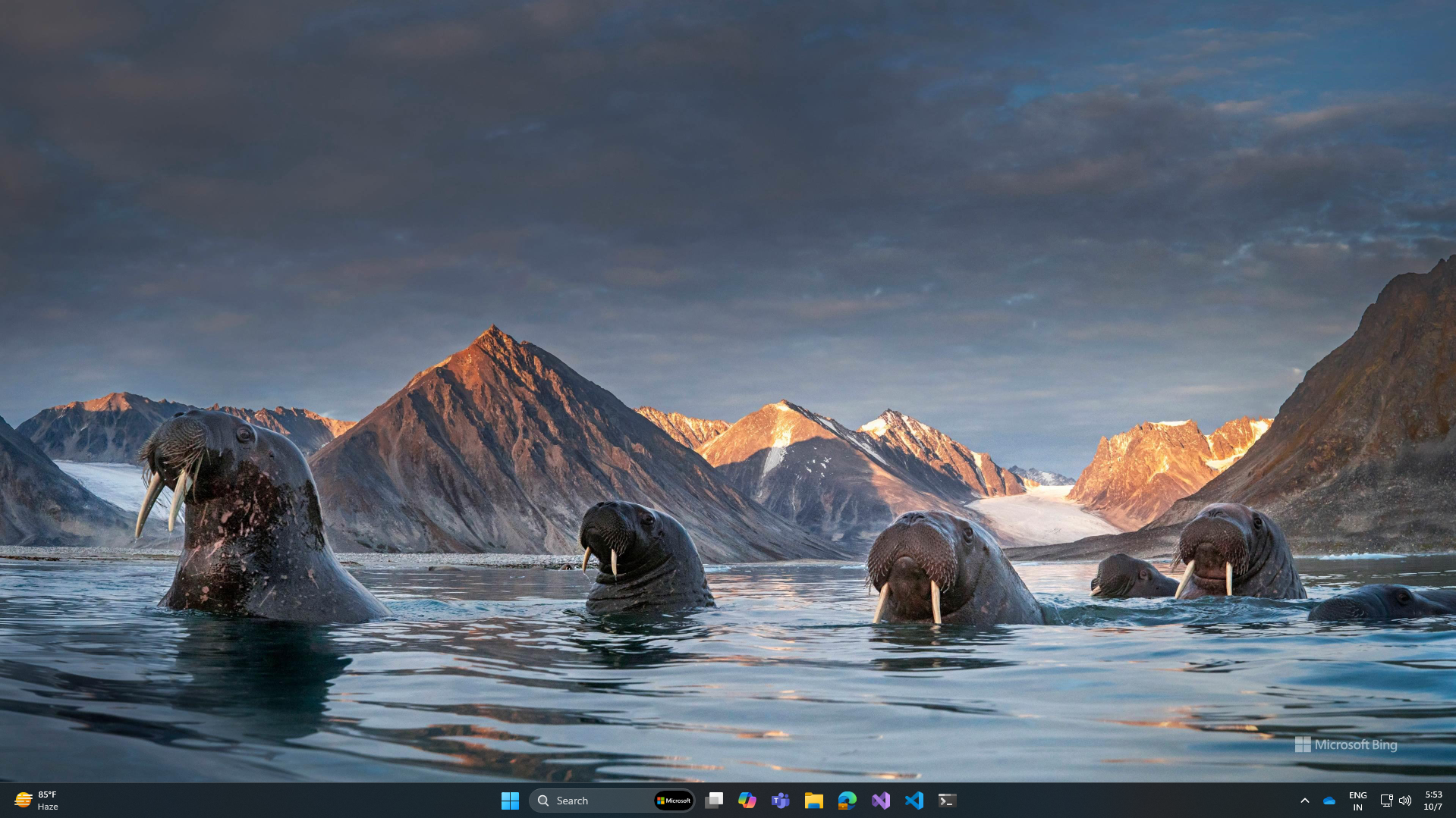 bing wallpaper