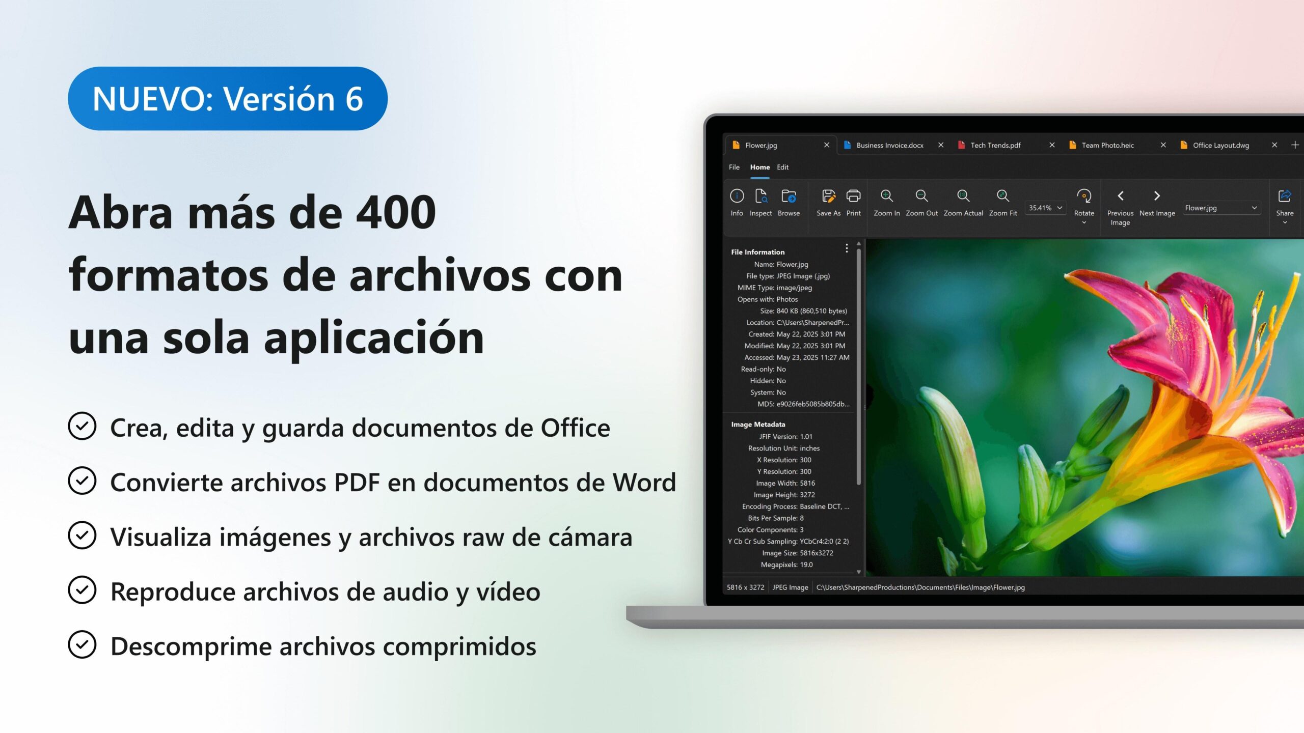 Alternativas a File Viewer Plus