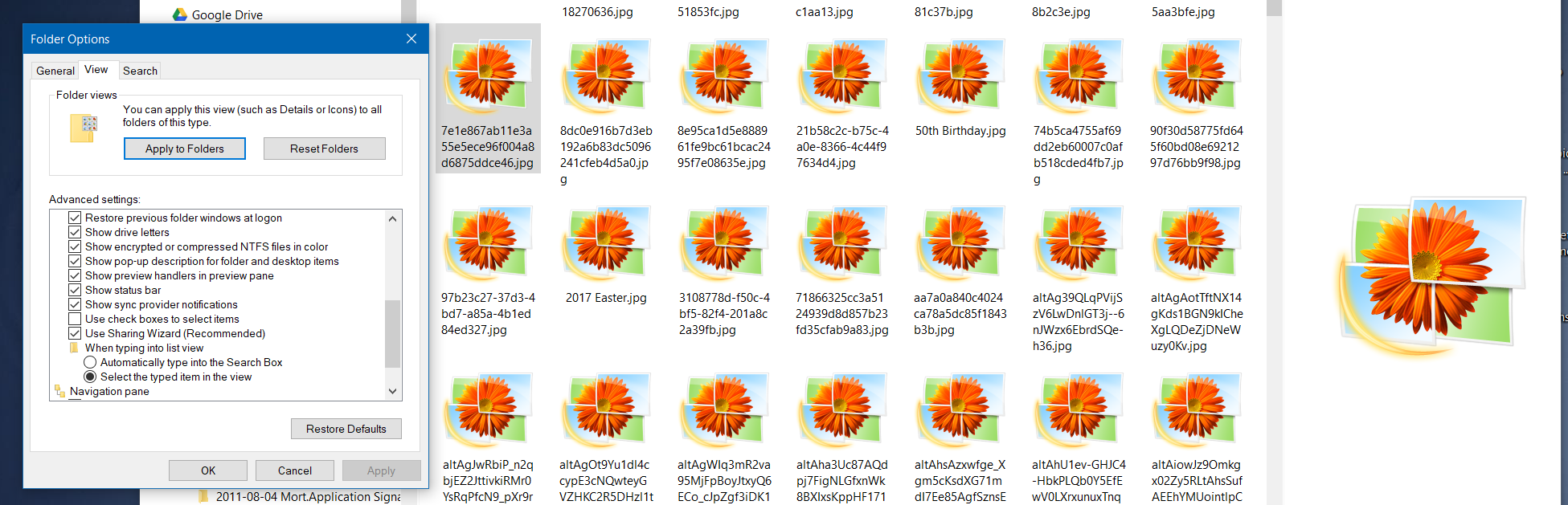 Causas del error Preview Handler