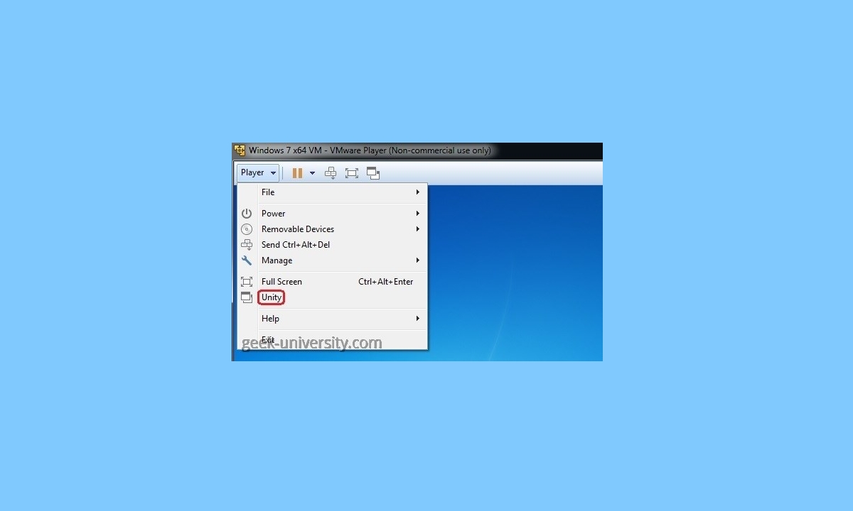 unity vmware