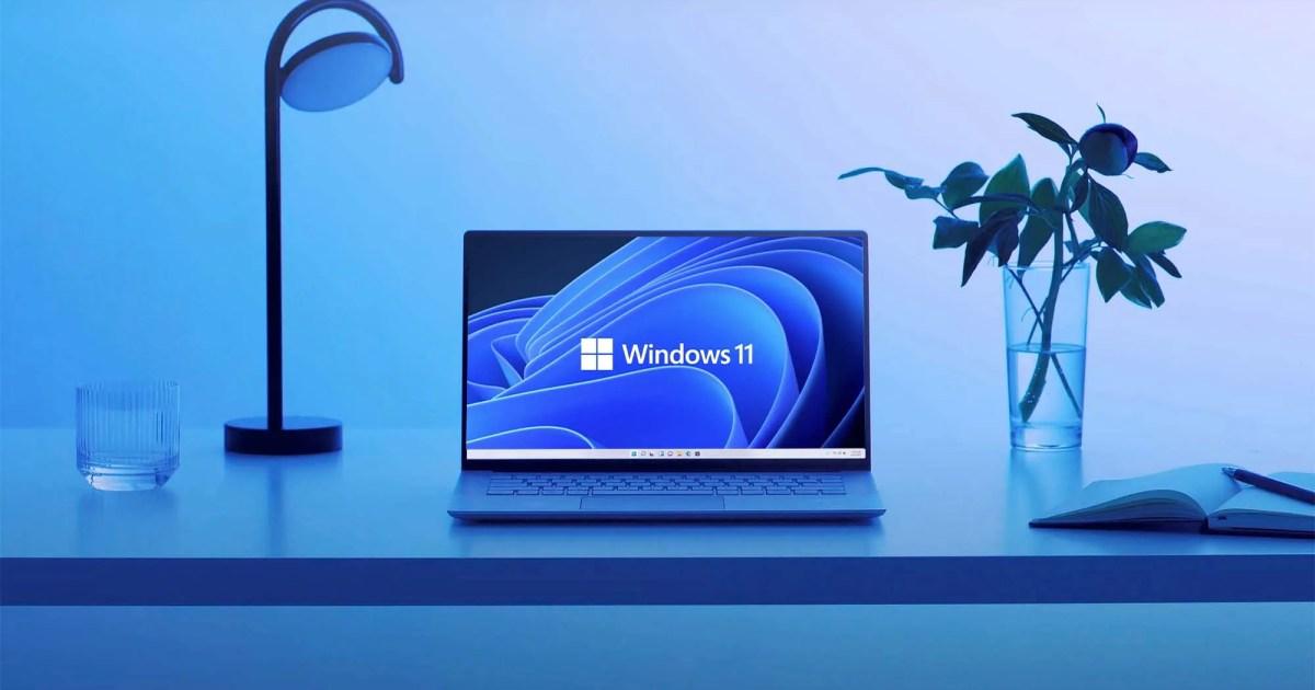 copiar y buscar windows 11
