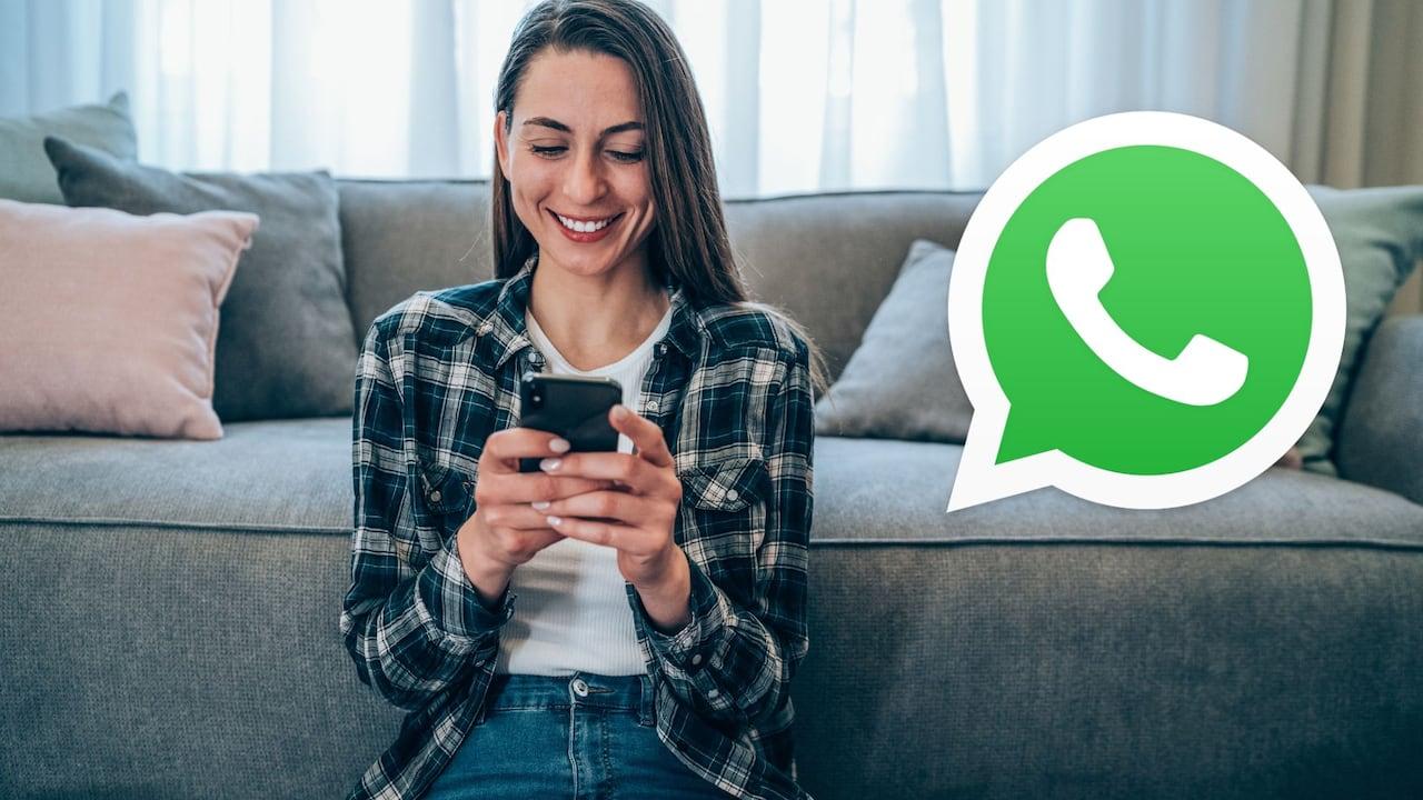 BirdyChat y Haiket con WhatsApp