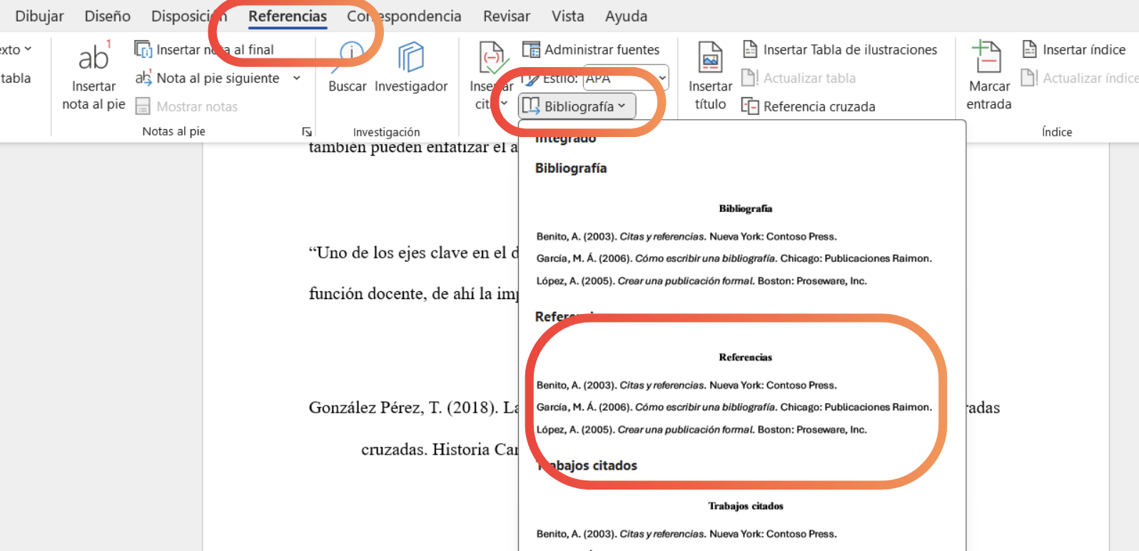 Citas y referencias en Word