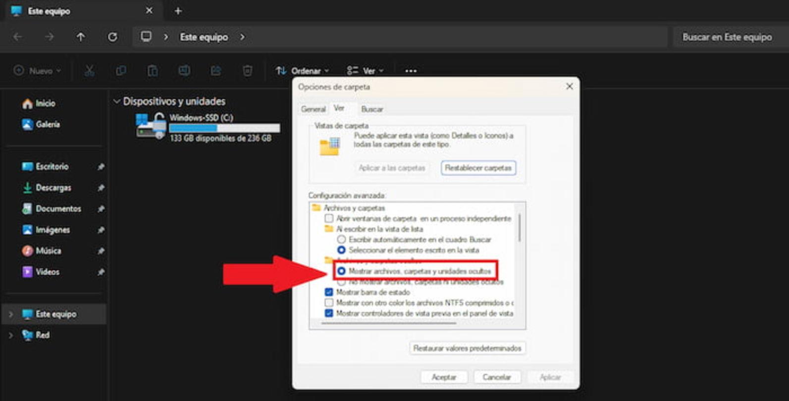 Ver carpetas ocultas en Windows 11