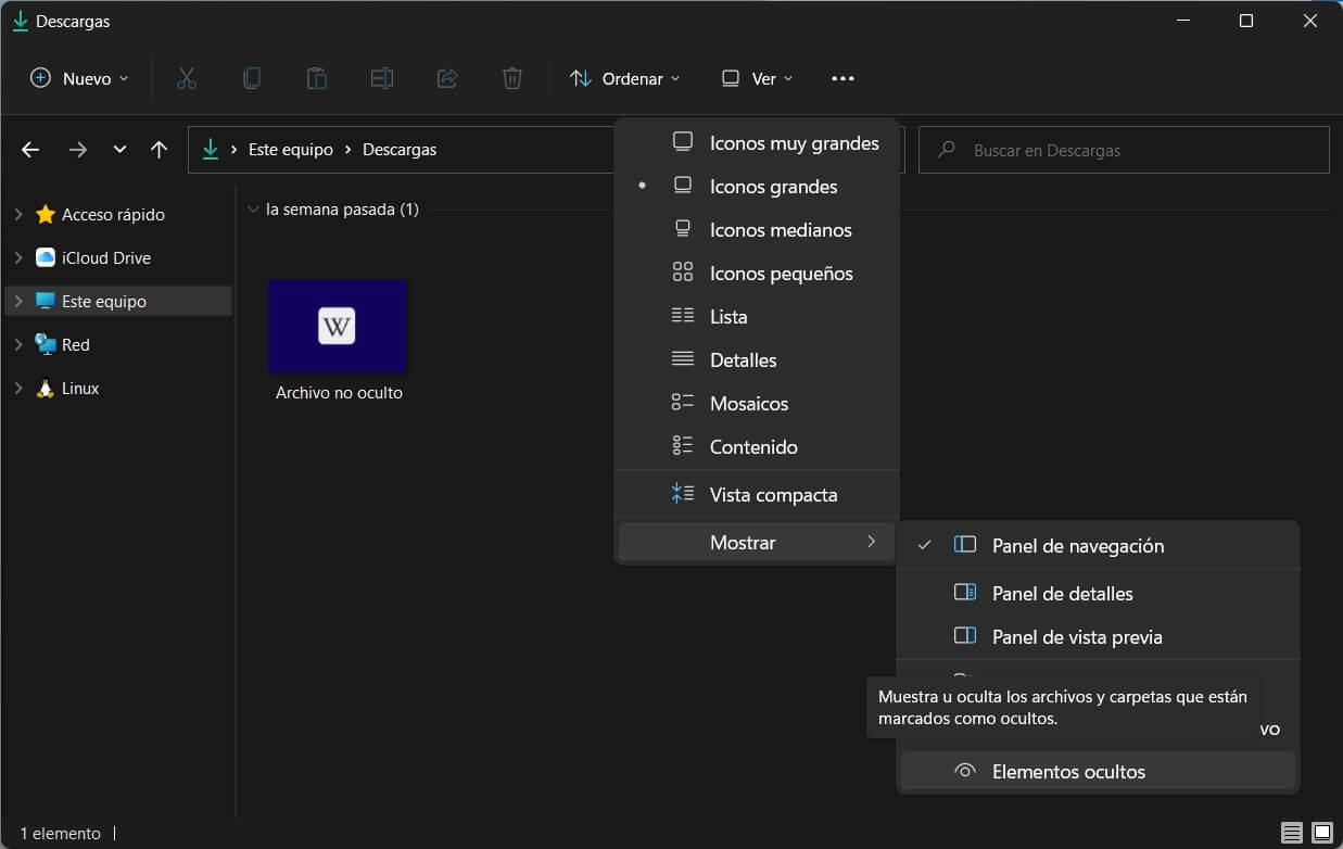 Archivos ocultos en Windows 11