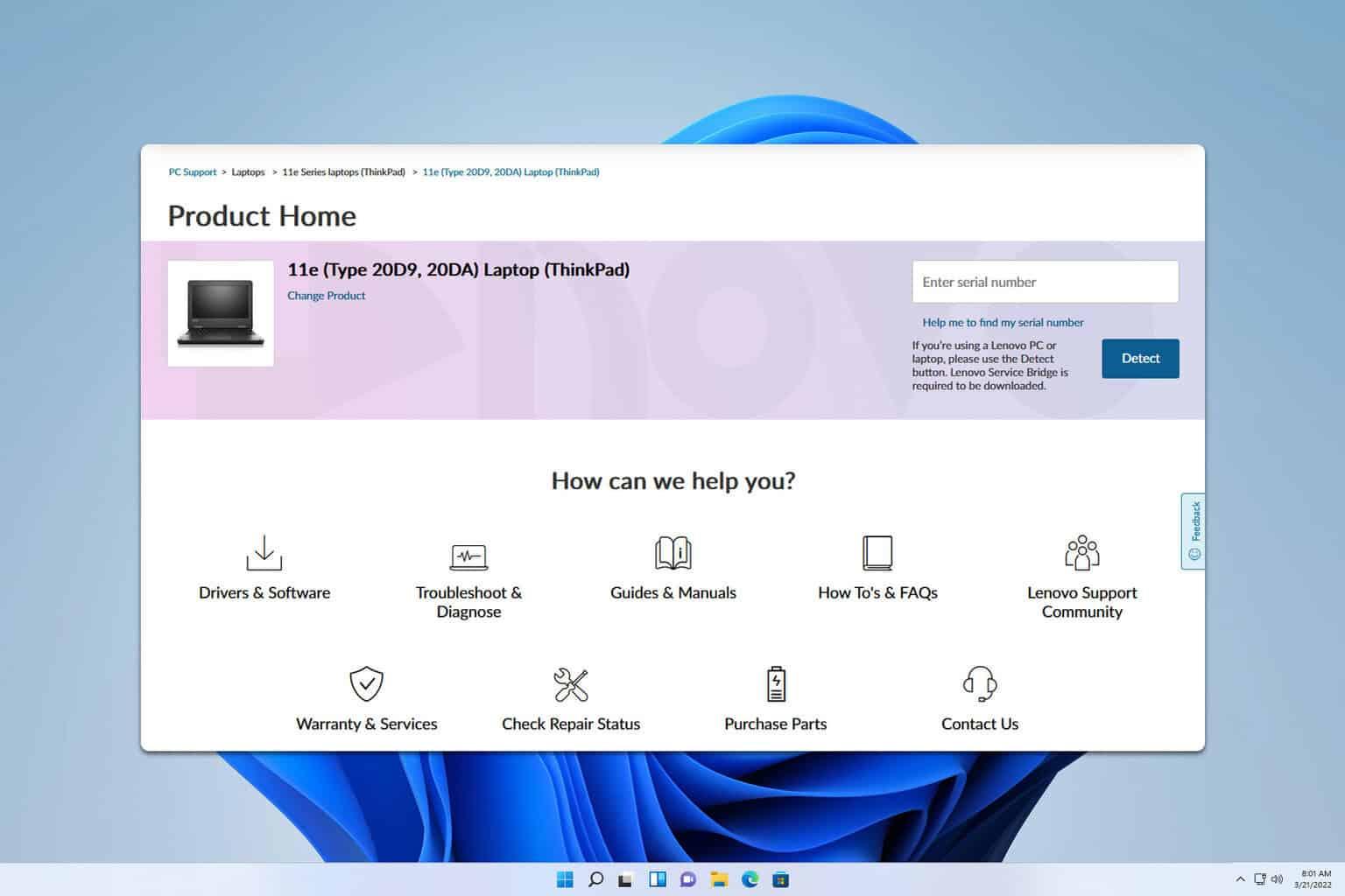 Información del sistema en Windows 11