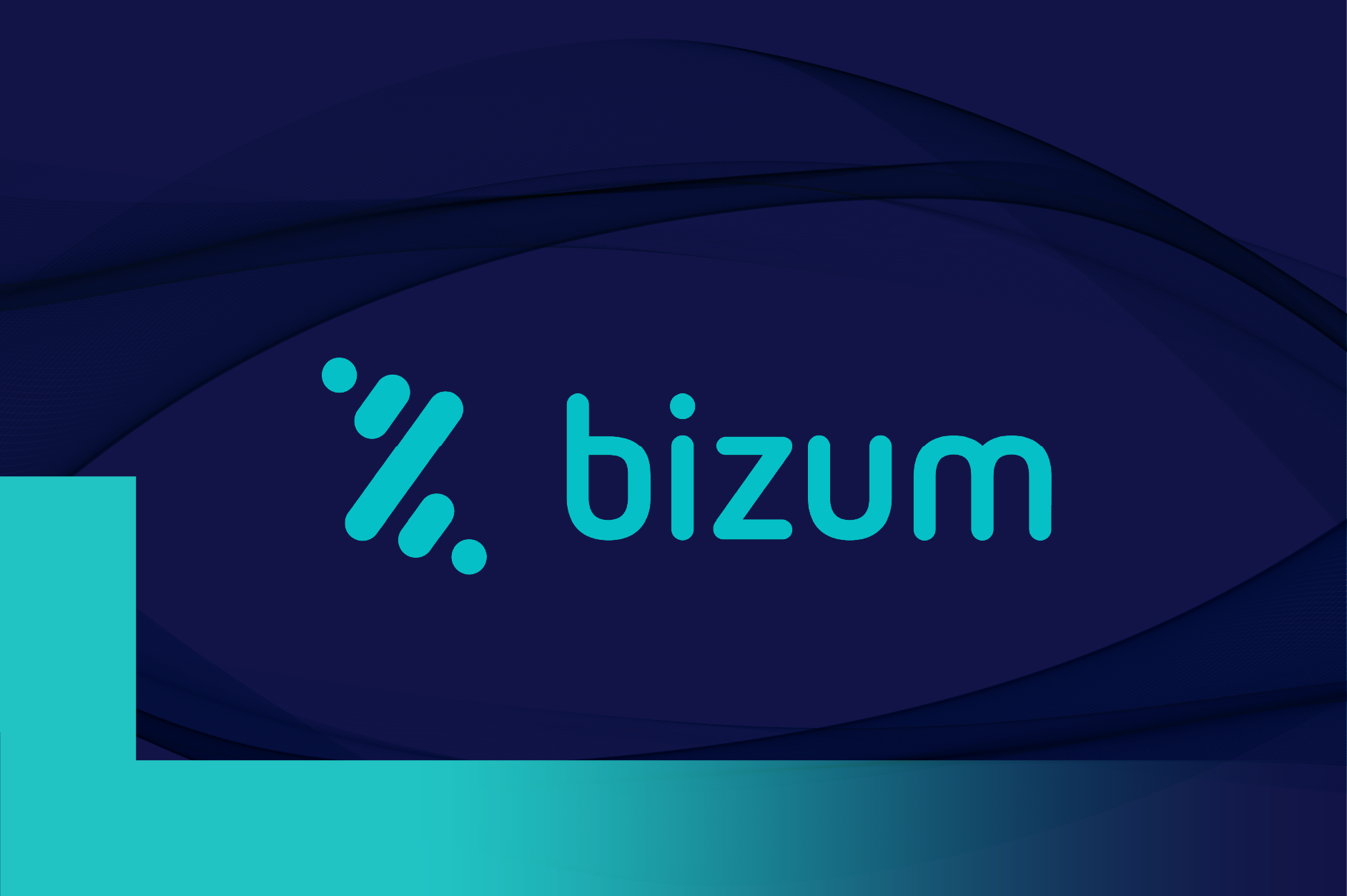 Control de pagos Bizum y tarjetas