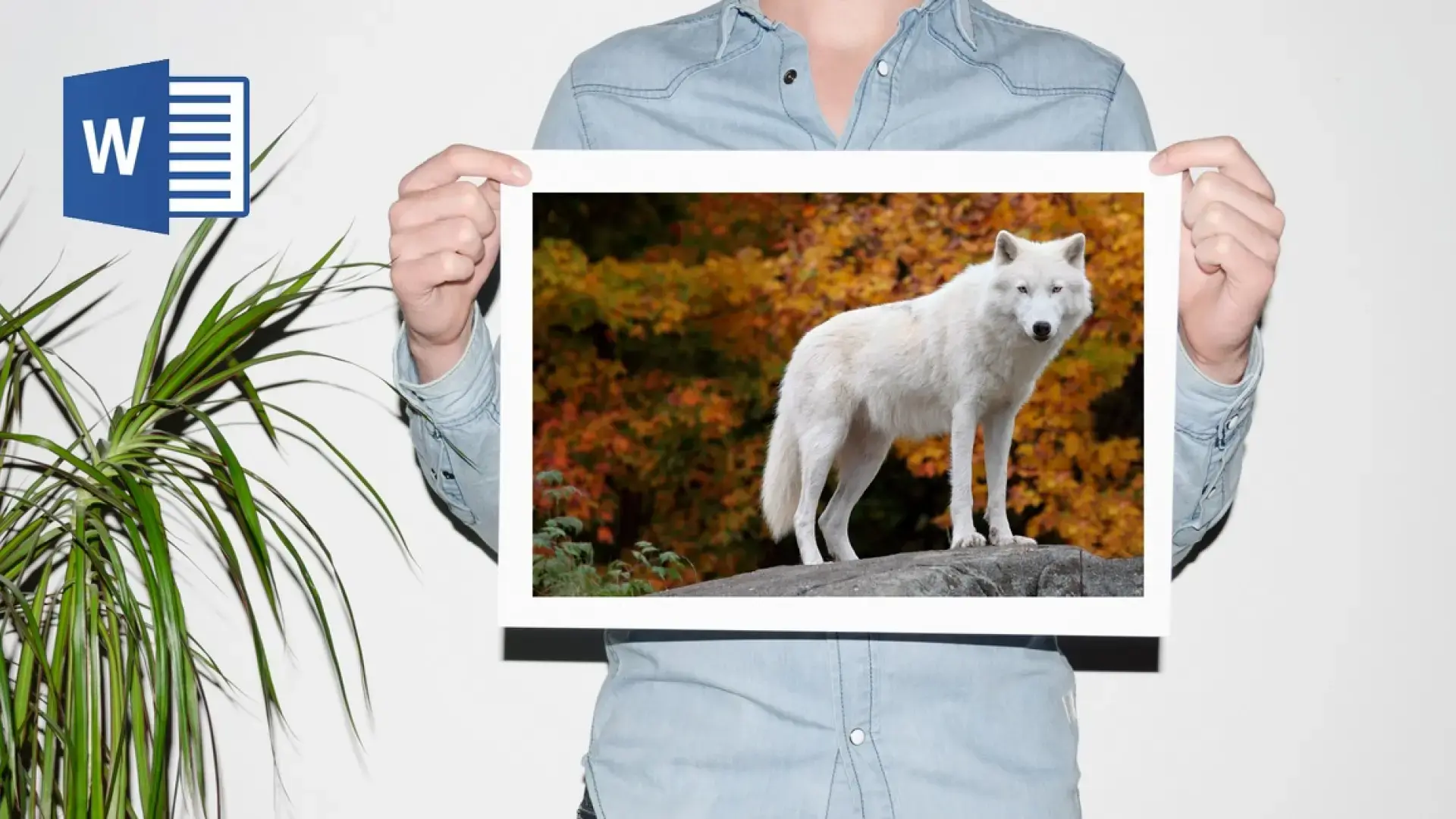 cómo imprimir una imagen grande en varias hojas de word