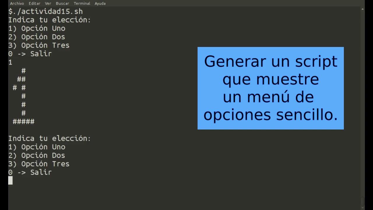 Script bash con menú interactivo