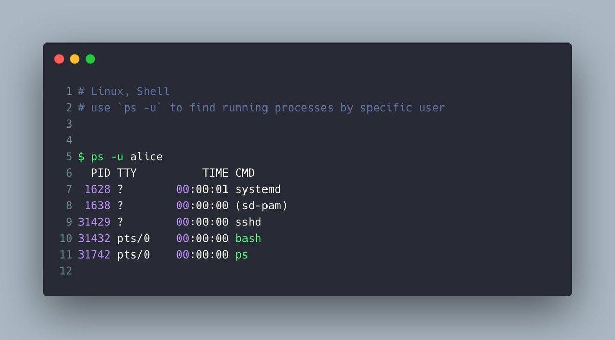 Menú de bash en terminal