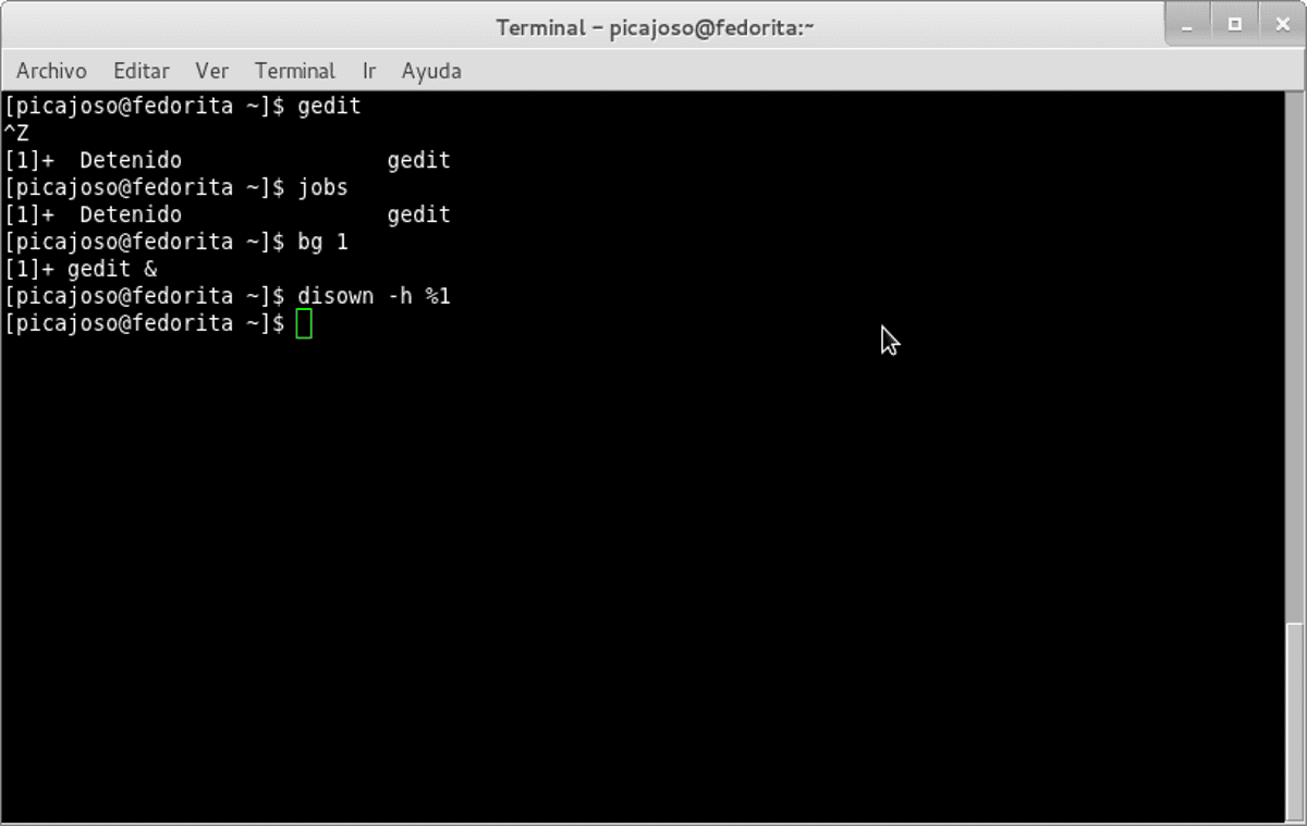 Evitar que un comando deje de ejecutarse al cerrar el terminal en Linux