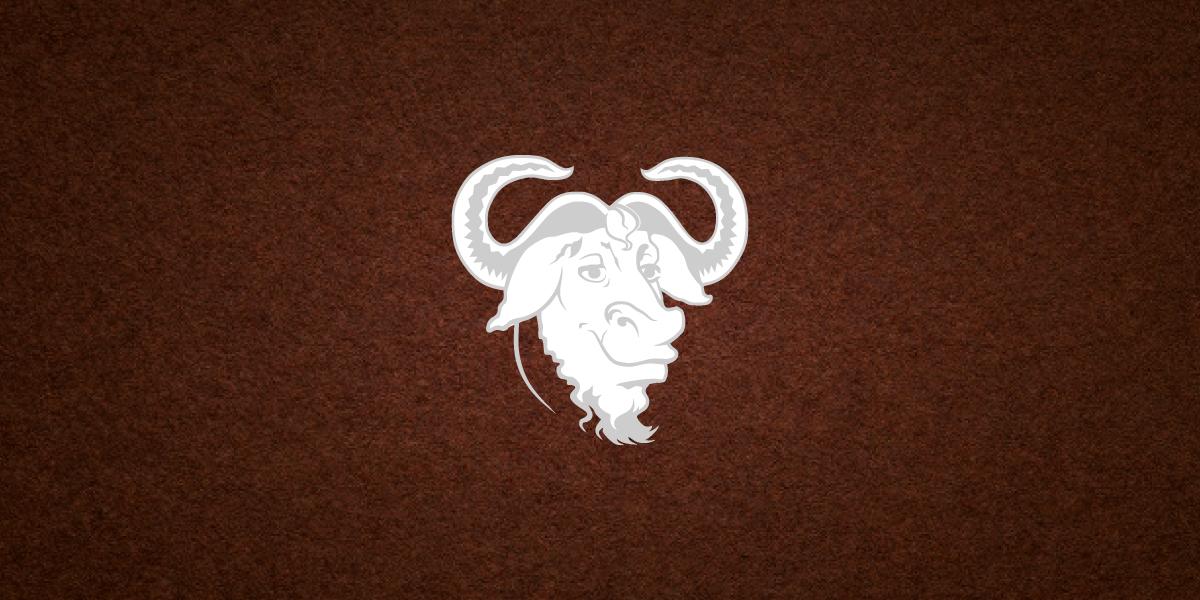 Uso de wget en terminal Linux