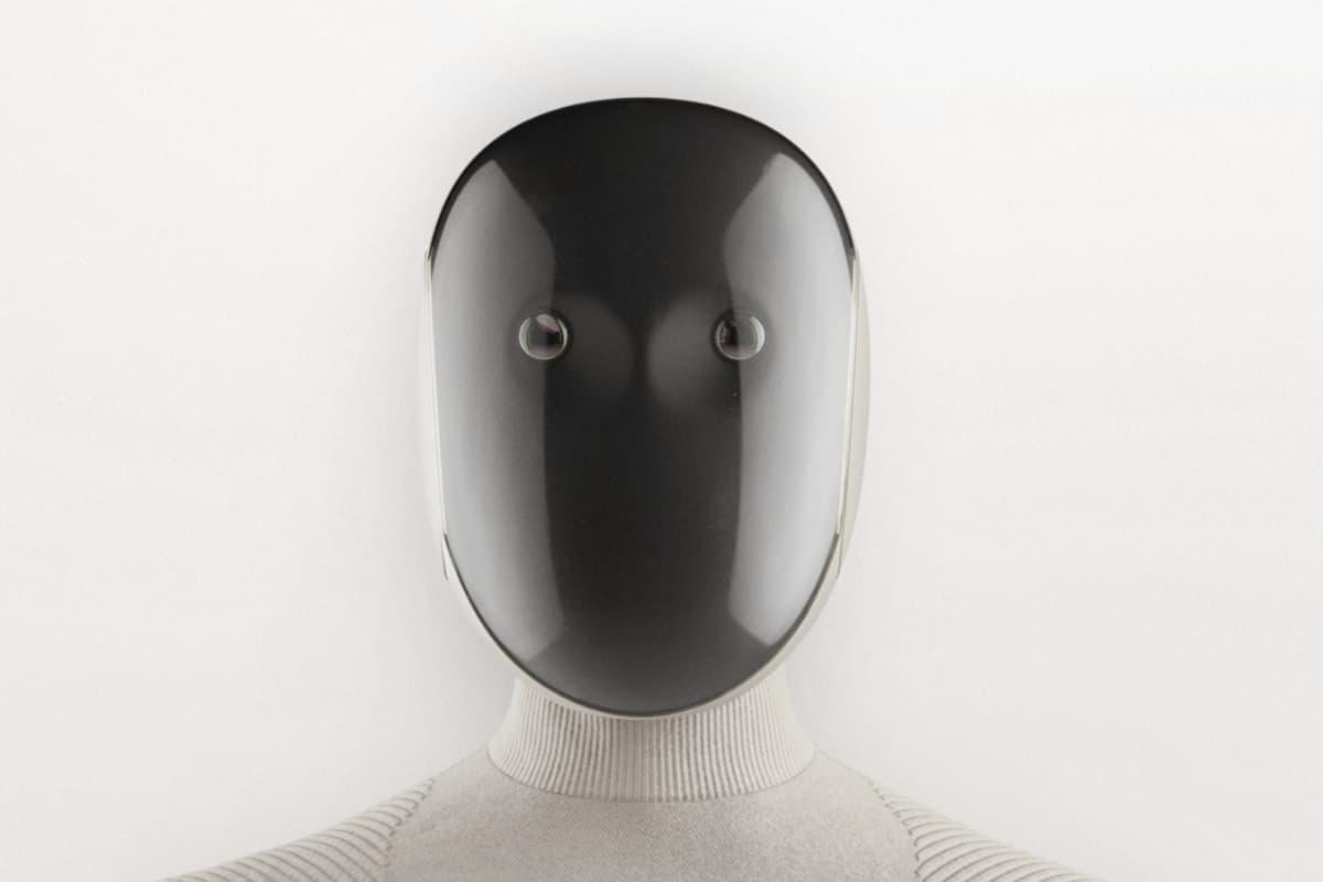 robots humanoides domesticos