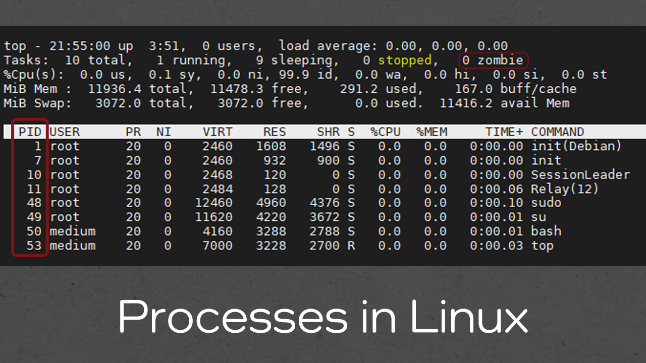 ejemplo de procesos defunct
