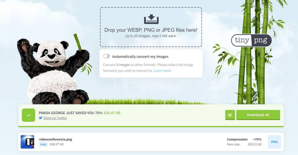 Ventajas del formato WebP para optimizar imágenes web
