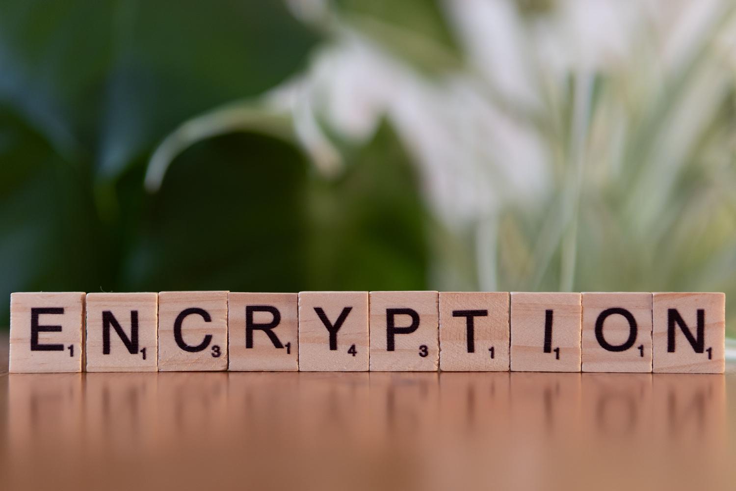 Bloques de madera formando la palabra 'encryption', representando la seguridad de los datos y el cumplimiento del RGPD.
