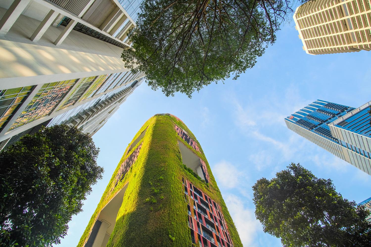 Arquitectura urbana sostenible con rascacielos modernos y jardines verticales, representando la tendencia de Green IT.